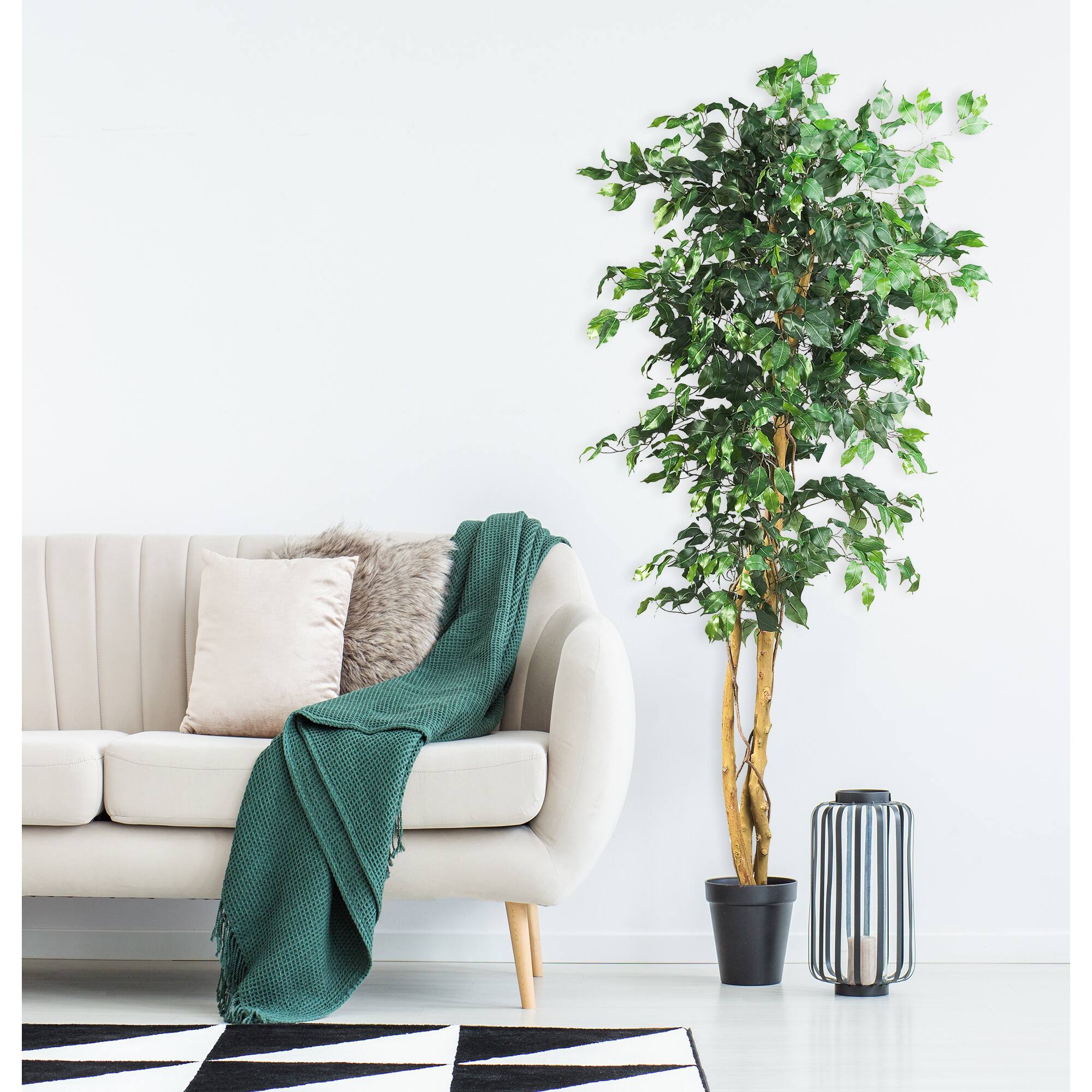 6ft. Artificial Ficus Tree